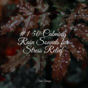 #1 50 Calming Rain Sounds for Stress Relief