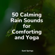 50 Calming Rain Sounds for Comforting and Yoga