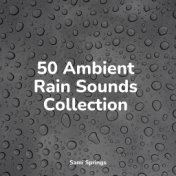 50 Ambient Rain Sounds Collection