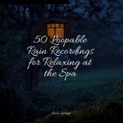 50 Loopable Rain Recordings for Relaxing at the Spa
