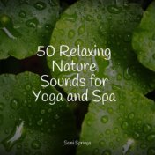 50 Relaxing Nature Sounds for Yoga and Spa