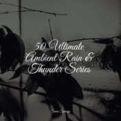 50 Ultimate Ambient Rain & Thunder Series
