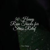 50 Heavy Rain Tracks for Stress Relief