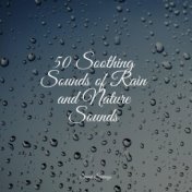 50 Soothing Sounds of Rain and Nature Sounds