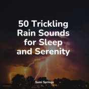 50 Trickling Rain Sounds for Sleep and Serenity