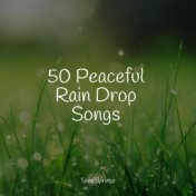 50 Beautiful Rain Droplet Tracks