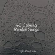 60 Calming Rainfall Songs