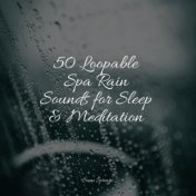 50 Loopable Spa Rain Sounds for Sleep & Meditation