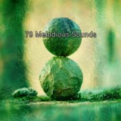 79 Melodious Sounds