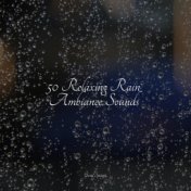 50 Relaxing Rain Ambiance Sounds