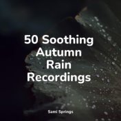 50 Soothing Autumn Rain Recordings