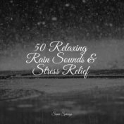 50 Relaxing Rain Sounds & Stress Relief