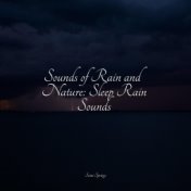 Sounds of Rain and Nature: Sleep Rain Sounds