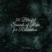 50 Blissful Sounds of Rain for Relaxation