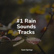 #1 Rain Sounds Tracks