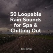 50 Loopable Rain Sounds for Spa & Chilling Out