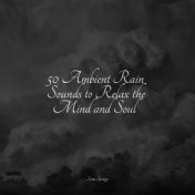 50 Ambient Rain Sounds to Relax the Mind and Soul