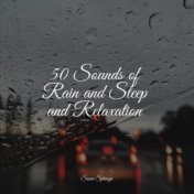 Sleep Rain Sounds