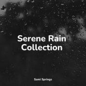 Serene Rain Collection