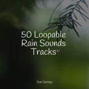 50 Loopable Rain Sounds Tracks