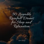 50 Loopable Rainfall Drones for Sleep and Relaxation