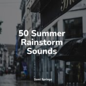 50 Summer Rainstorm Sounds