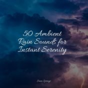 50 Ambient Rain Sounds for Instant Serenity