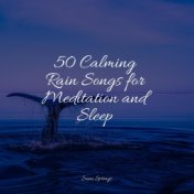 50 Calming Rain Songs for Meditation and Sleep