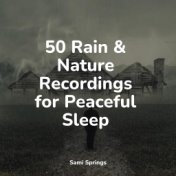 50 Rain & Nature Recordings for Peaceful Sleep