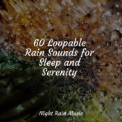 60 Loopable Rain Sounds for Sleep and Serenity