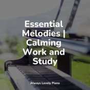 Essential Melodies | Calming Work and Study