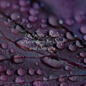 50 Gentle Rain Recordings for Sleep and Serenity