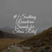 #1 Soothing Rainstorm Sounds for Stress Relief