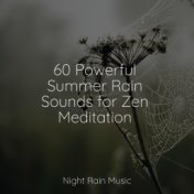 60 Powerful Summer Rain Sounds for Zen Meditation