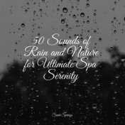 50 Sounds of Rain and Nature for Ultimate Spa Serenity