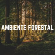 Ambiente Forestal