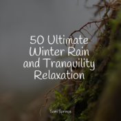 50 Ultimate Winter Rain and Tranquility Relaxation