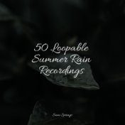 50 Loopable Summer Rain Recordings