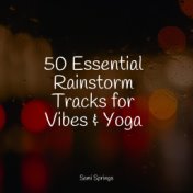 50 Essential Rainstorm Tracks for Vibes & Yoga