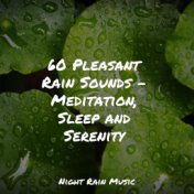 60 Pleasant Rain Sounds - Meditation, Sleep and Serenity