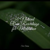50 Natural Rain Recordings for Meditation