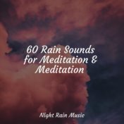 60 Rain Sounds for Meditation & Meditation