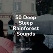 50 Deep Sleep Rainforest Sounds