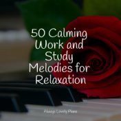 50 Calming Work and Study Melodies for Relaxation