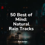 50 Best of Mind: Natural Rain Tracks