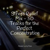 Stress Relief Mix - 50 Tracks for the Perfect Concentration