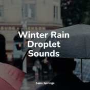 Winter Rain Droplet Sounds