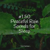 #1 50 Peaceful Rain Sounds for Sleep