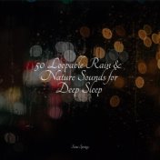 50 Loopable Rain & Nature Sounds for Deep Sleep