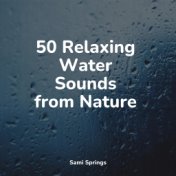 50 Relaxing Water Sounds from Nature